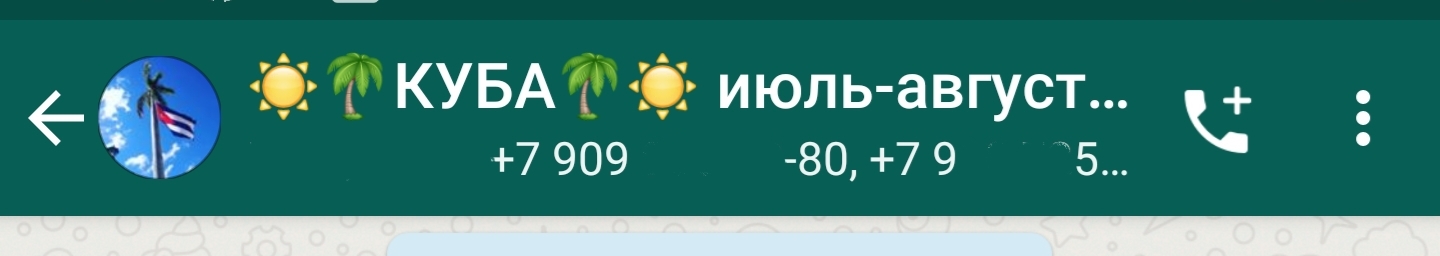 Чат в Whatsapp