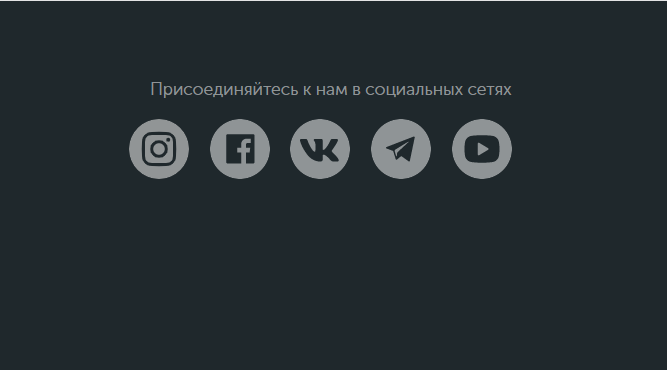 Facebook* и Instagram* — продукты компании Meta, которая признана экстремистской организацией в России.